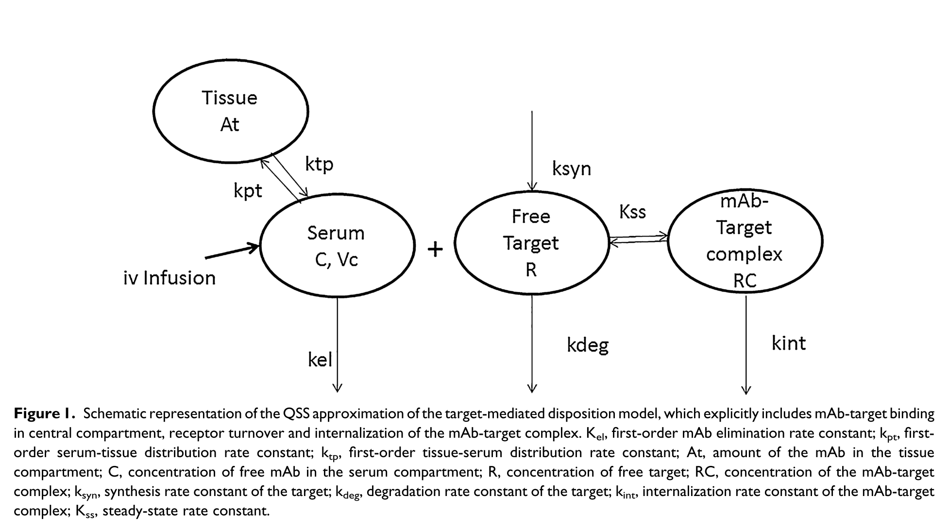 Model Schematic